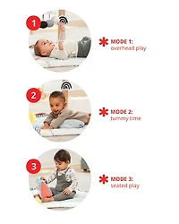 Baby Discoverosity Montessori-Inspired Play Gym