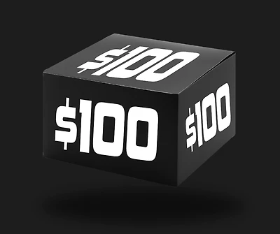 $100 Mystery Box