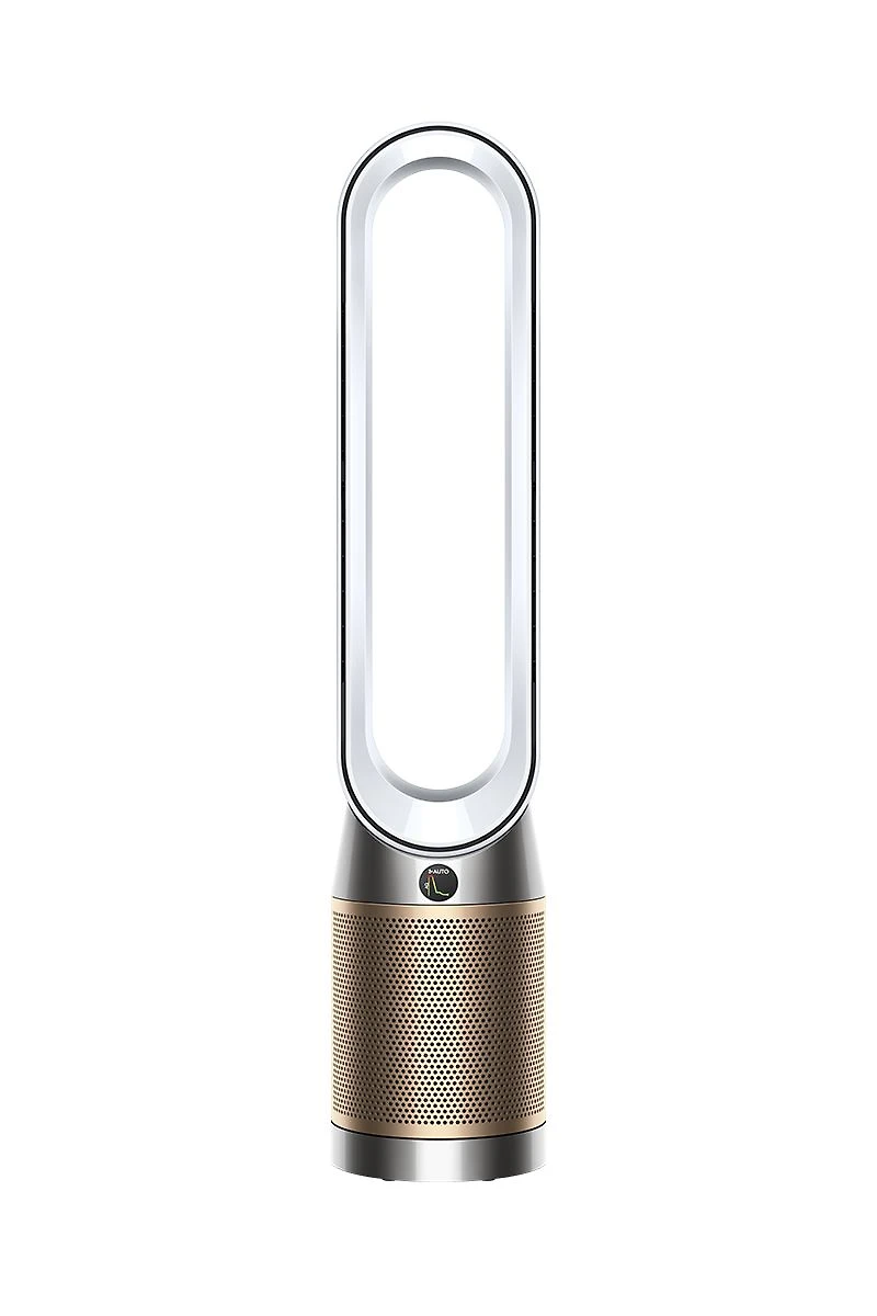 Dyson Purifier Cool PC2 De-Nox (White/Gold)