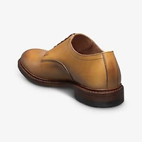 Trevor Plain-toe Derby Shoe