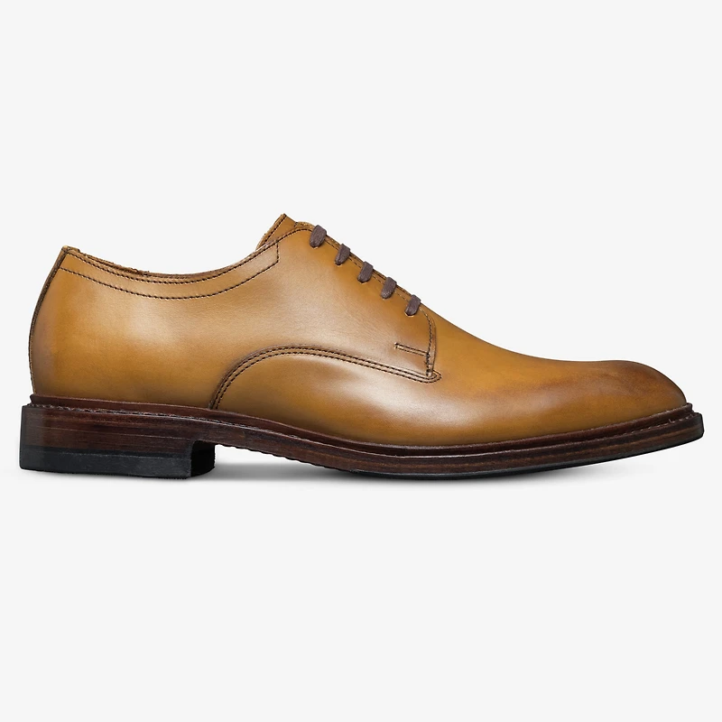 Trevor Plain-toe Derby Shoe