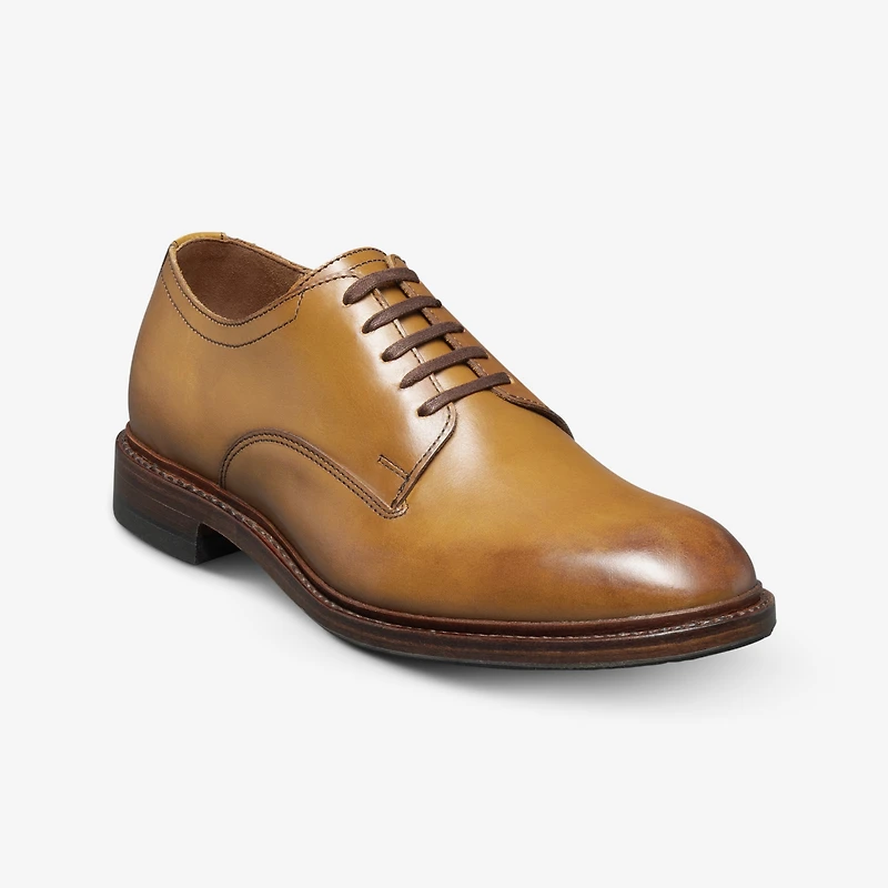 Trevor Plain-toe Derby Shoe