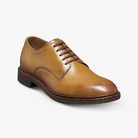 Trevor Plain-toe Derby Shoe