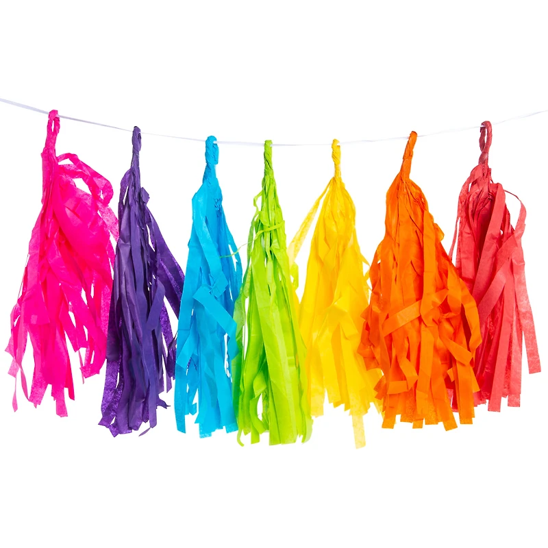 rainbow tissue paper tassel banner decoration 10ft long