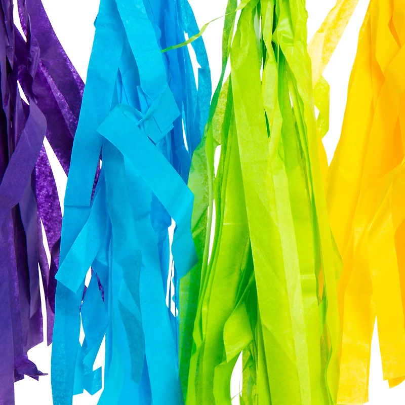 rainbow tissue paper tassel banner decoration 10ft long