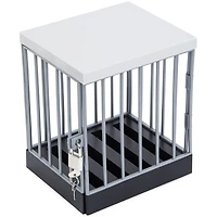 locked-up cellphone detention