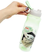 Zak! Designs® The Mandalorian  Sullivan Water Bottle 30oz