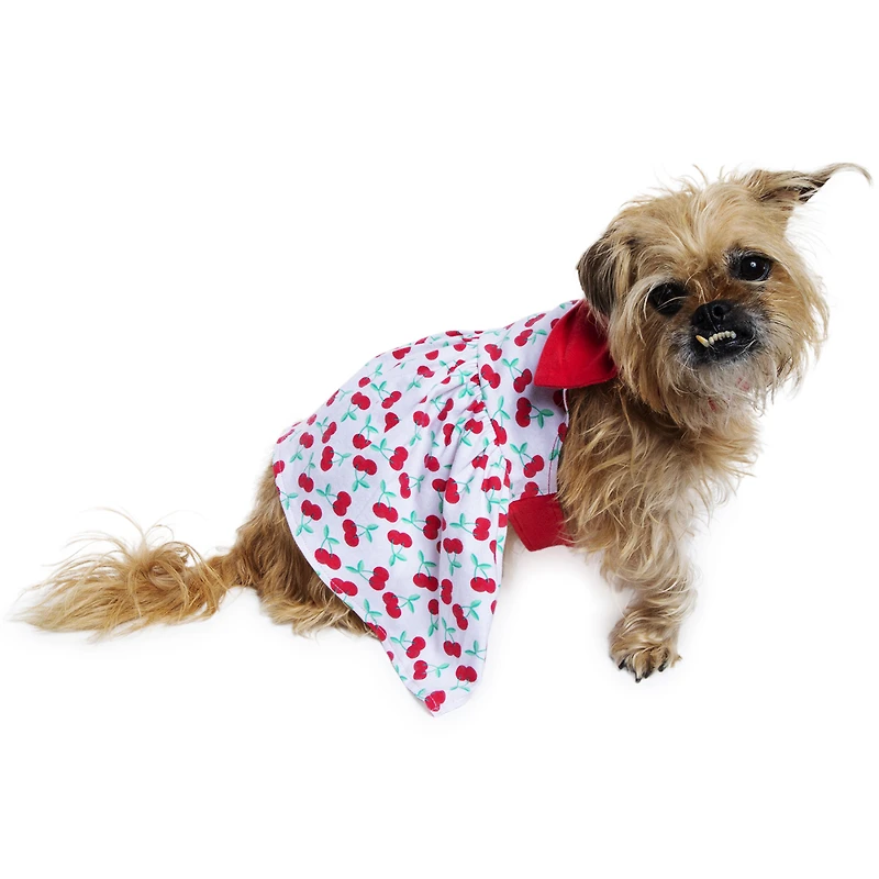 Dog Sundress