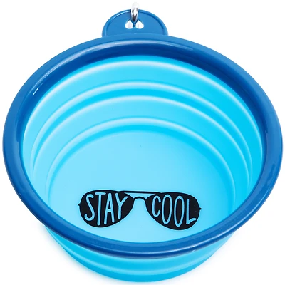 travel dog bowl for summer