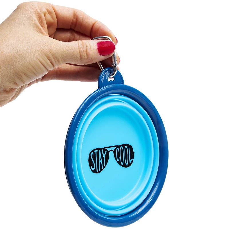 travel dog bowl for summer