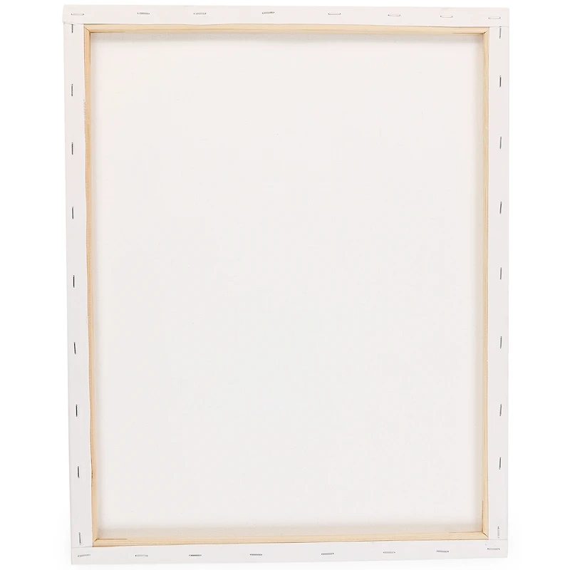 16in x 20in stretched canvas 2-pack