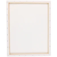 16in x 20in stretched canvas 2-pack