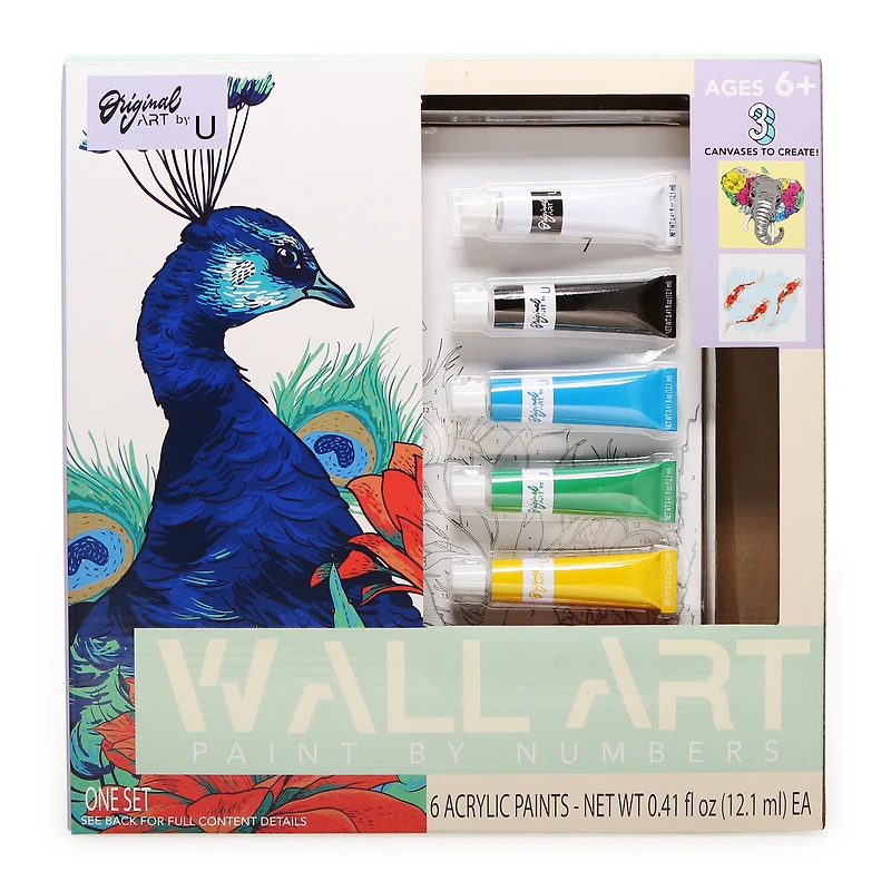 Paint-By-Numbers Art Kit W/ 3 Canvases