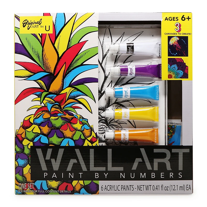 Paint-By-Numbers Art Kit W/ 3 Canvases