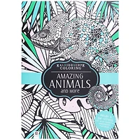 Kaleidoscope Adult Coloring Books