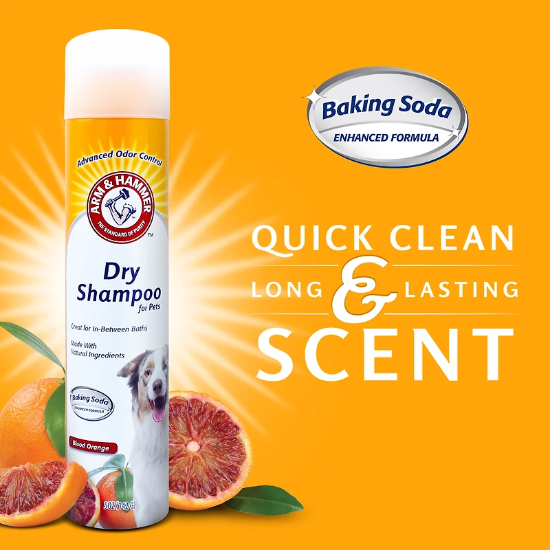 Arm & Hammer® Dry Shampoo For Pets - Blood Orange Scent 5oz