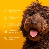 Arm & Hammer® Super Deodorizing Spray - Kiwi Blossom 8oz