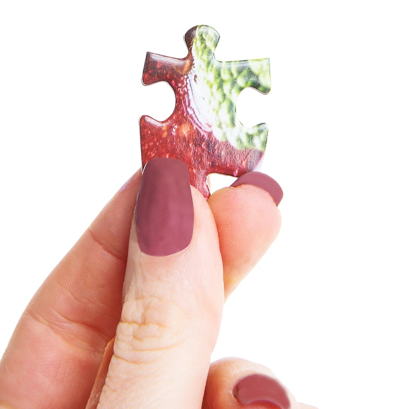 Foodie 300-Piece Puzzle