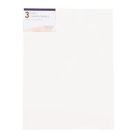 Canvas Panel 3-Pack 12in X 16in