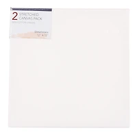 Stretched Canvas 2-Pack 12in X 12in