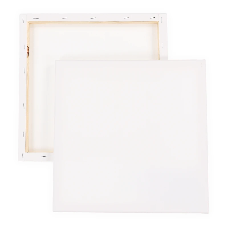 Stretched Canvas 2-Pack 12in X 12in