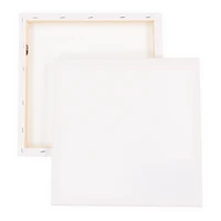 Stretched Canvas 2-Pack 12in X 12in