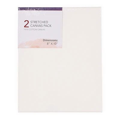 stretched canvas 2-pack 8in x 10in