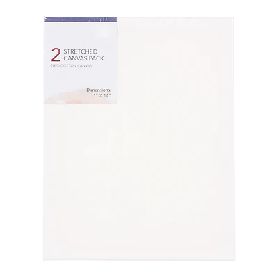 stretched canvas 2-pack 11in x 14in