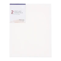 stretched canvas 2-pack 11in x 14in