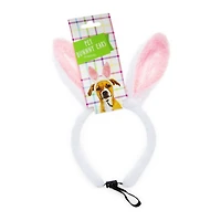 Pet Bunny Ears