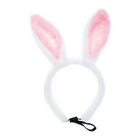 Pet Bunny Ears