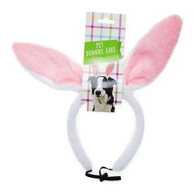 Pet Bunny Ears