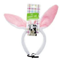 Pet Bunny Ears