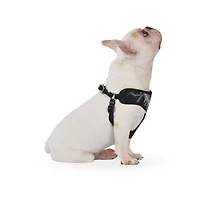 Marvel® Black Panther™ Pet Harness - Small