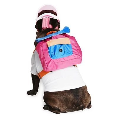 pet backpack
