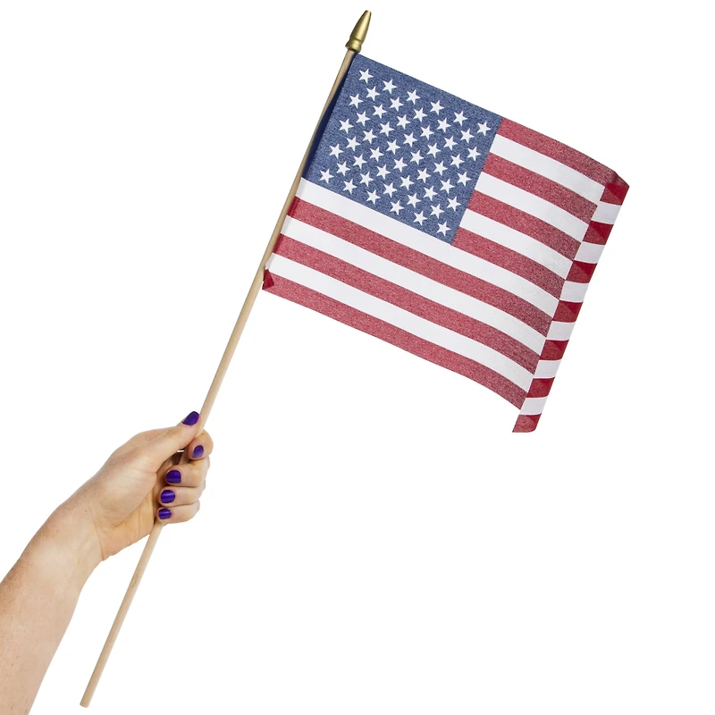 American Flag 8in X 12in