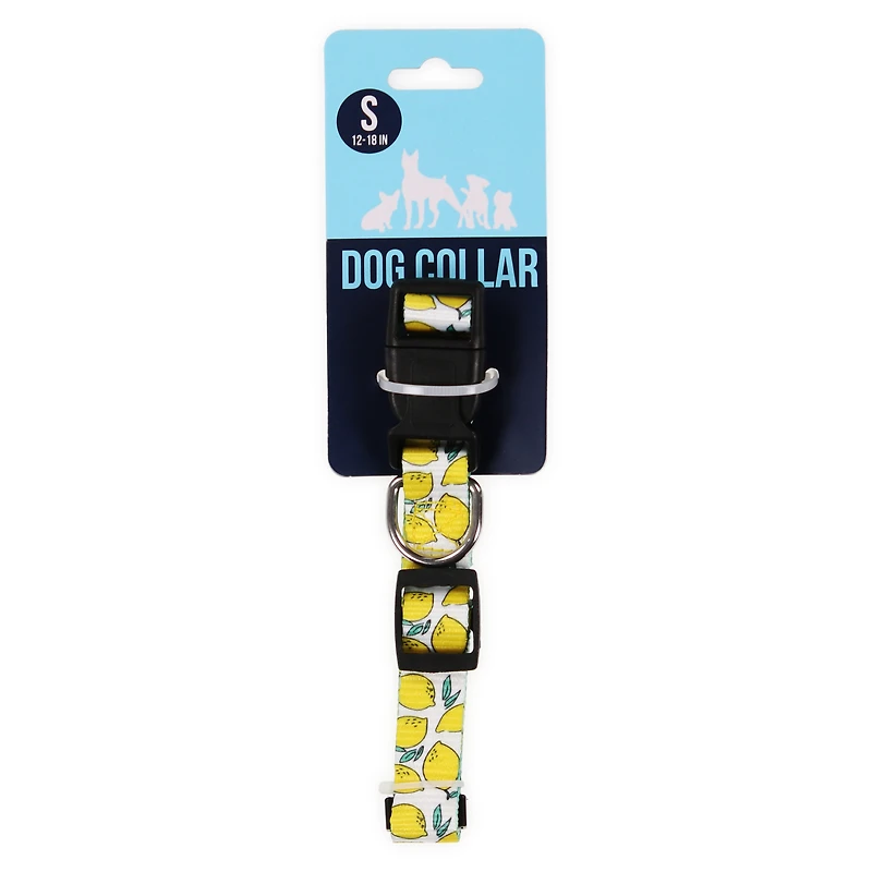 pattern dog collar