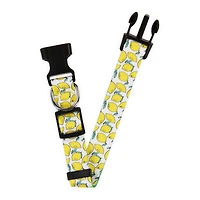 pattern dog collar