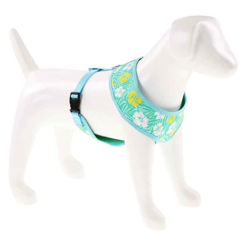 summer pet harness - rainbow