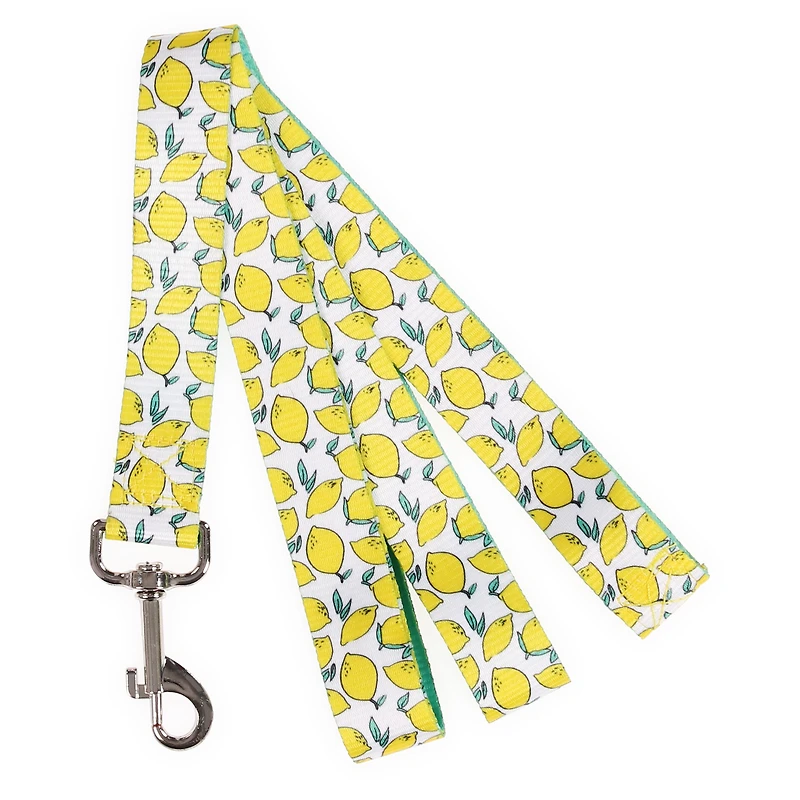 pattern pet leash 6ft