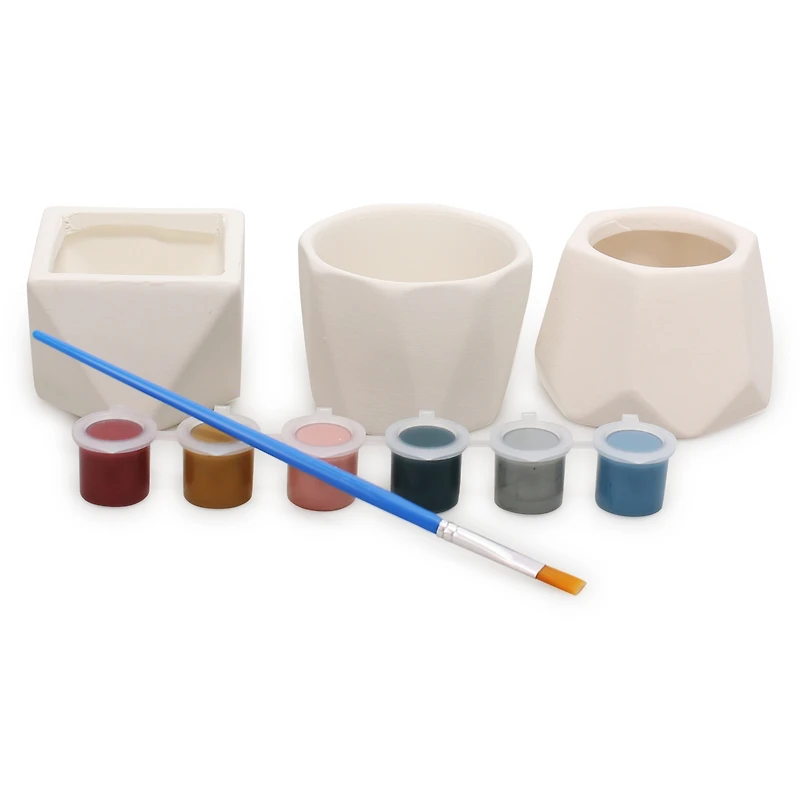 DIY Succulent Pots Painting Kit With 3 Plant Pots