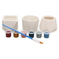 DIY Succulent Pots Painting Kit With 3 Plant Pots