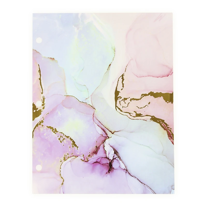 agate 2-pocket portfolio folder, 3 hole punched