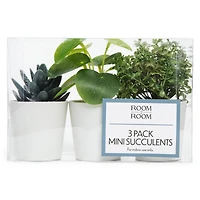 3-Pack Mini Faux Succulent Plants W/ Pots