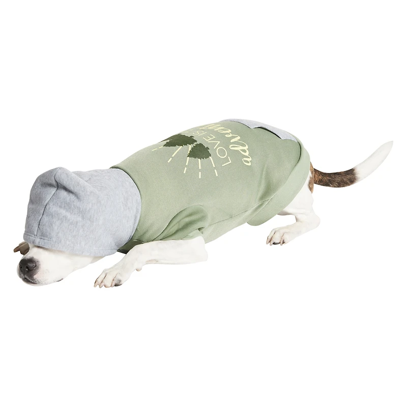 Pet Hoodie