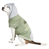 Pet Hoodie