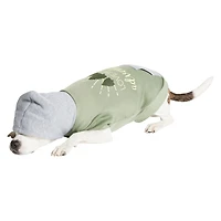 Pet Hoodie