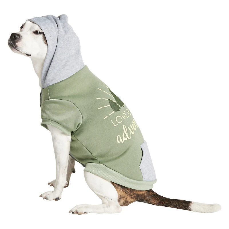 Pet Hoodie