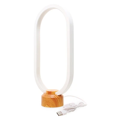 Led Modern Style Oval Light