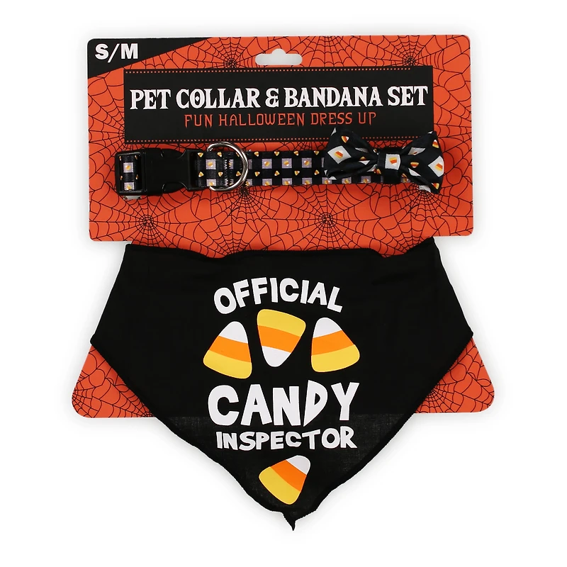 matching halloween pet collar & bandana